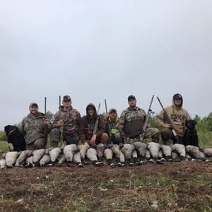 Meet your Posher, Allen